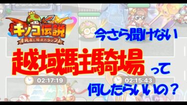 キノコ伝説｜今さら聞けない越域駐騎場ってどんな事をすればいいの？