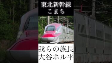 依頼です！キノコ伝説1800s6年1組（菌族）の仲間たちを新幹線で表現してみた！