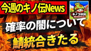 【キノコ伝説】今週のキノ伝ニュース「イベント確率の闇」「鯖統合」について話す【キノ伝】