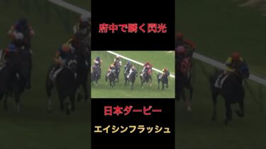 府中で瞬く閃光エイシンフラッシュ【競馬】#競馬#ウマ娘#エイシンフラッシュ#閃光