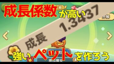 キノコ伝説｜永遠のカボチャ交配で見えて来た強いペットの作り方！？