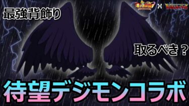 【キノコ伝説】最強背飾り降臨で大火力時代へ！！待望デジモンコラボ徹底考察【きのこ伝説】【キノデン】