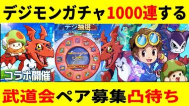 【キノコ伝説 】ガチャ1000連/武道会ペア募集優勝目指す【きのこ伝説/勇者と魔法のランプ】