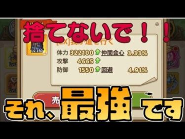 【キノコ伝説】理論上最強！？全て避ける回避装備について組み方など紹介！