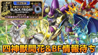 【DQタクト】四神獣才能開花性能&ブラックフライデー情報待ち枠！【#ドラクエタクト/#DQTact/#ドラゴンクエストタクト】