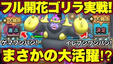 【ドラクエタクト】開花ゴリラがPvP実戦投入でまさかの大活躍！？