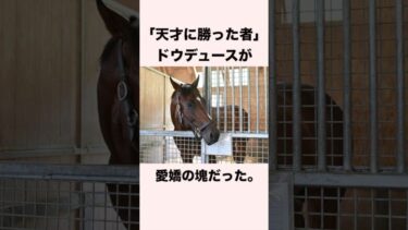 【 競馬 】ドウデュースの雑学 【 競馬の雑学 】【 ウマ娘 】 #競馬 #雑学 #ドウデュース #ウマ娘 #shorts