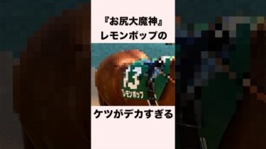 【 競馬 】レモンポップの雑学② 【 競馬の雑学 】【 ウマ娘 】 #競馬 #雑学 #レモンポップ #ウマ娘 #shorts