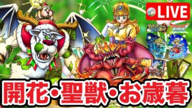 【ドラクエタクト】クリスマスイベ第2弾は『聖獣ブオーン』才能開花、お歳暮、クリスマスメダル、忘年会告知など☆サタデーナイトライブ