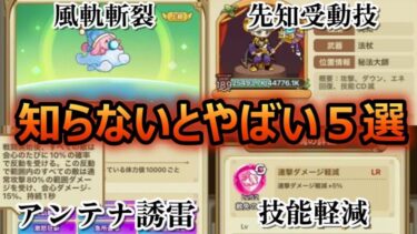 【キノコ伝説】知らないと差がつく事5選！！【きのこ伝説】【キノデン】