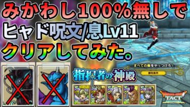 【ドラクエタクト】指揮者の神殿ヒャド 呪文/息Lv11をみかわし100%無しでクリアしてみた！（黒竜丸/魔性の道化ドルマゲス無し）