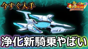 【キノコ伝説】今すぐ取るべき！！浄化をビルドに取り入れよう！！【きのこ伝説】【キノデン】