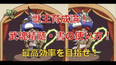 【キノコ伝説】獣王！武魂精髄・書の振り方！徹底解説！！【キノコ伝説】【キノデン】