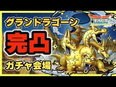 【ドラクエタクト】グランドラゴーン完凸PVP会場【廃課金】