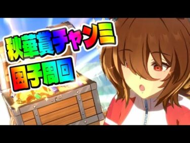 【ウマ娘】秋華賞チャンミに向けて因子周回！day5【初見さん歓迎】