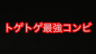 【キノコ伝説】トゲトゲメンバー紹介1