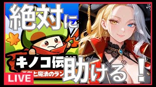 シーズン開幕！
