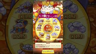 【キノコ伝説】10月初め招き猫〜高倍率を求めて〜