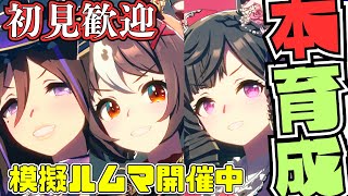 【ウマ娘】チャンミ本育成！！！/因子お披露目ルムマ開催しておりますので、気軽にご参加ください/UmaMusume Training Live