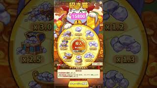 【キノコ伝説】招き猫【2026年3月】